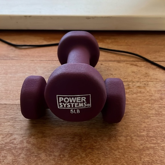 Power Systems 5 pound weight - Picture 1 of 1